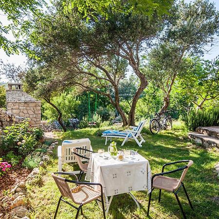Nice Apartment In Vinjerac With Kitchen Εξωτερικό φωτογραφία