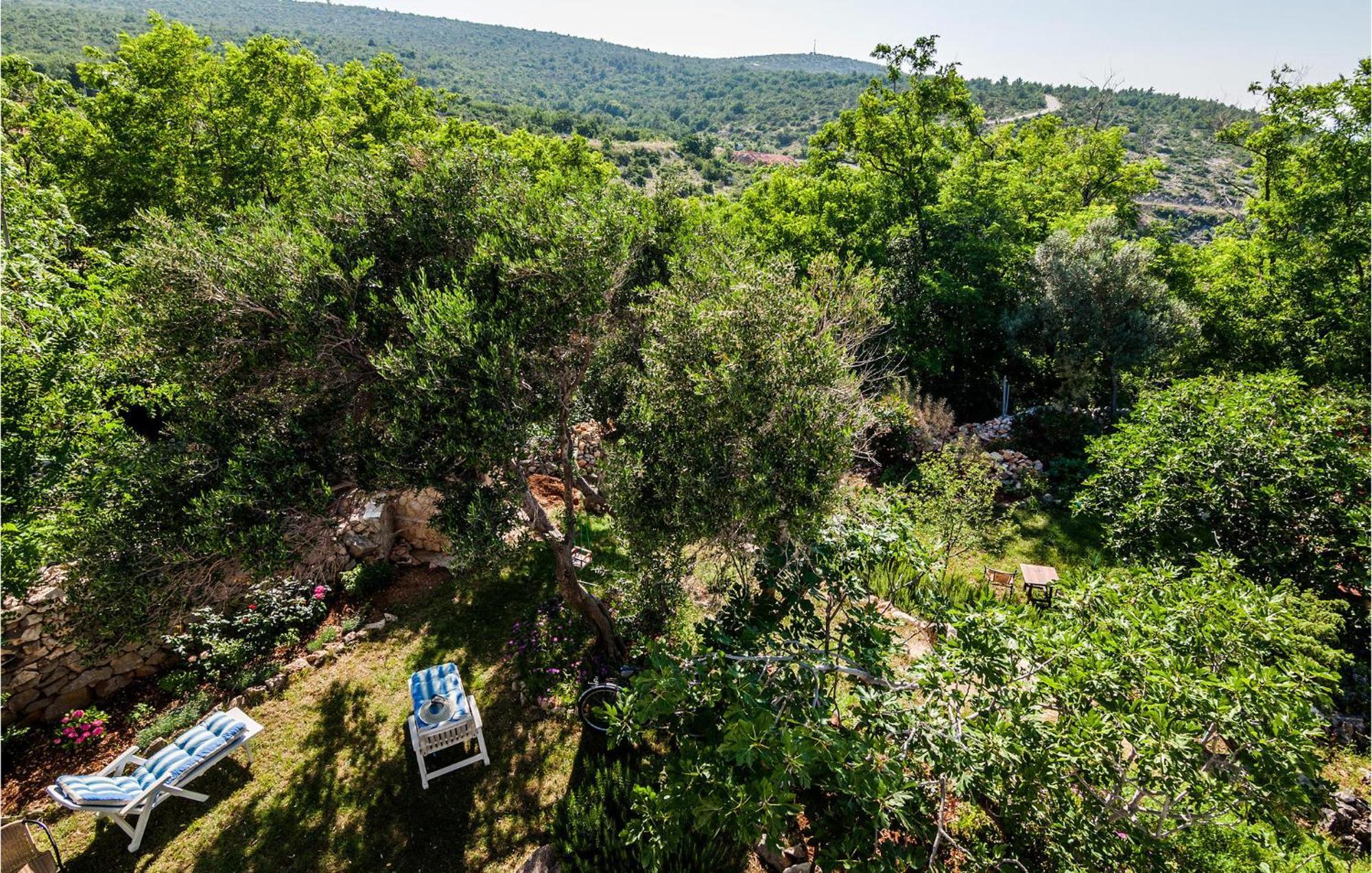 Nice Apartment In Vinjerac With Kitchen Εξωτερικό φωτογραφία